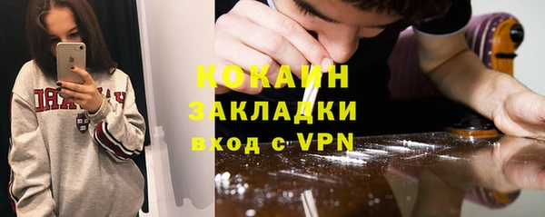 дмт Богданович