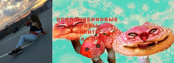круглые Белокуриха